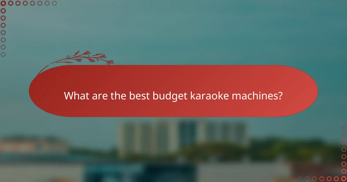 What are the best budget karaoke machines?